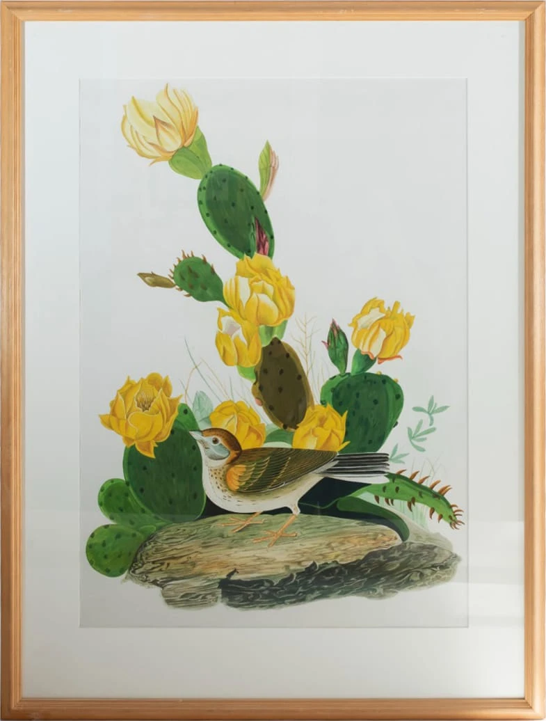 بعد جون جيمس أودوبون (أمريكي، 1785-1851)