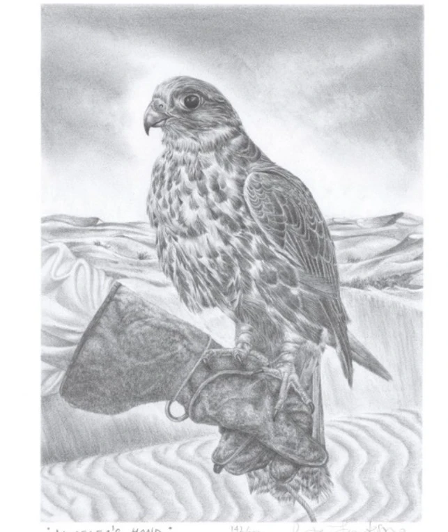 مجموعة من 4 مطبوعات حجرية مرقمة