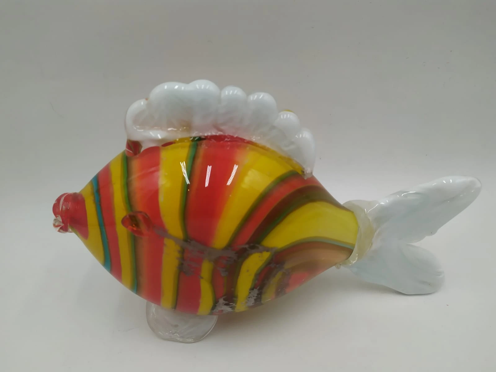 سمكة مورانو متعددة الألوان