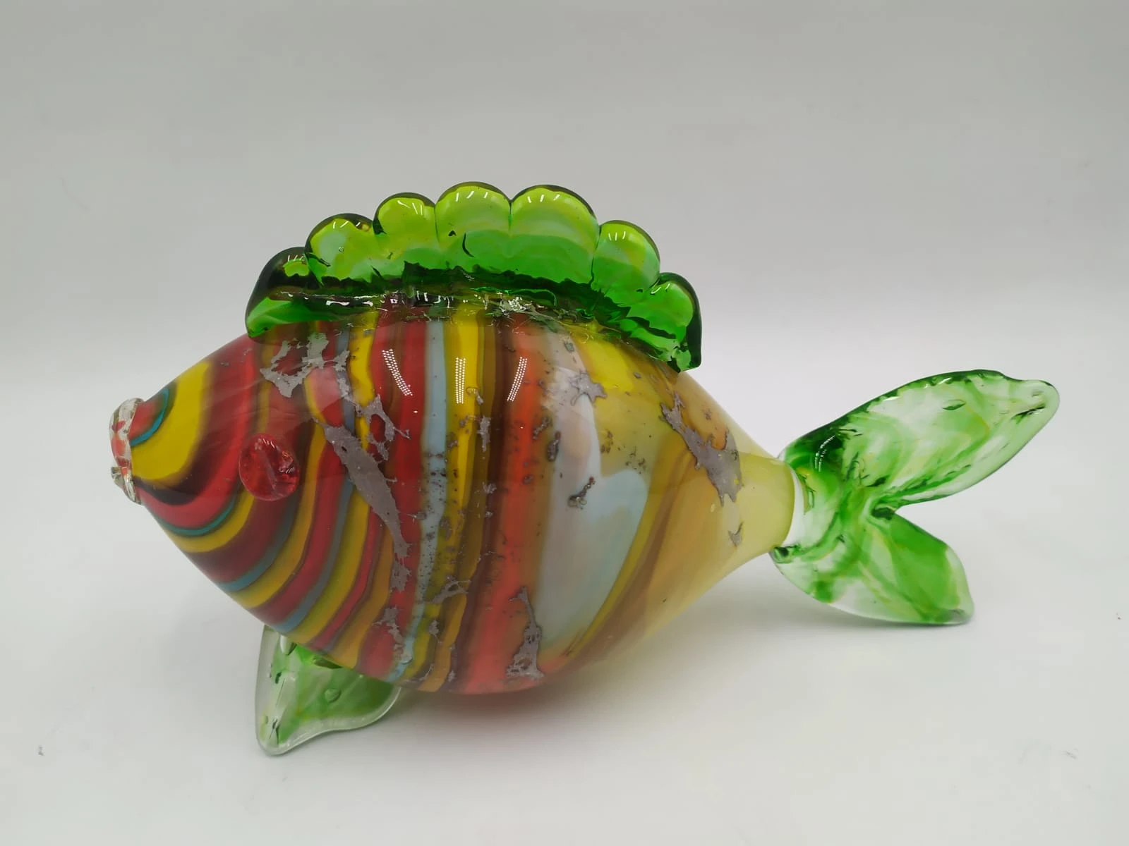 سمكة مورانو متعددة الألوان