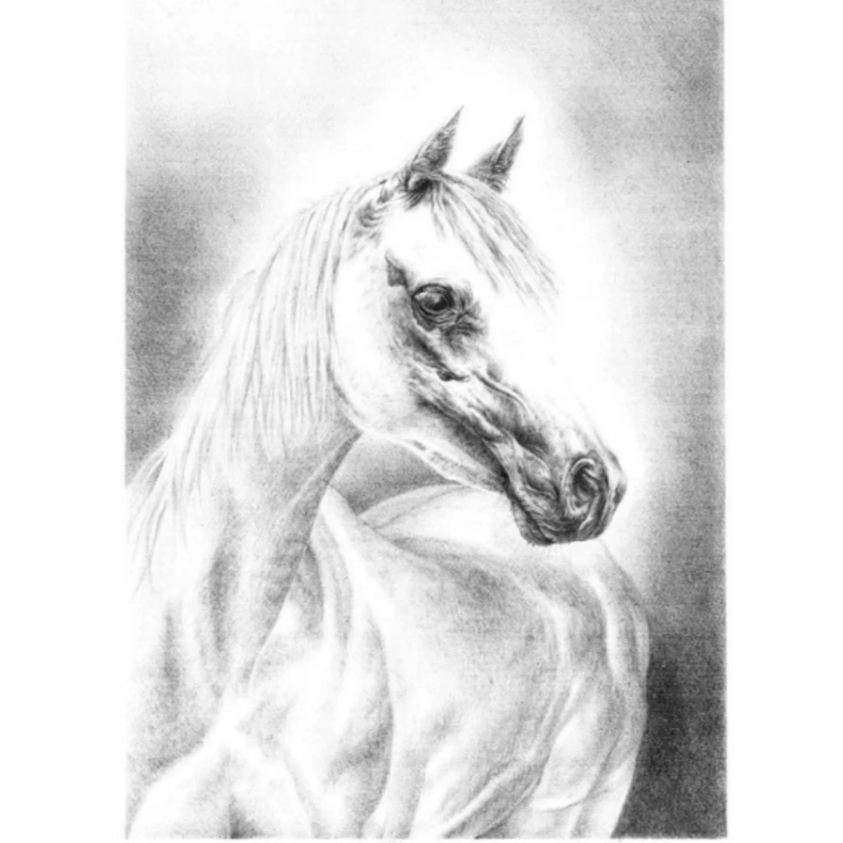 4 Limited Edition Numbered Lithographs