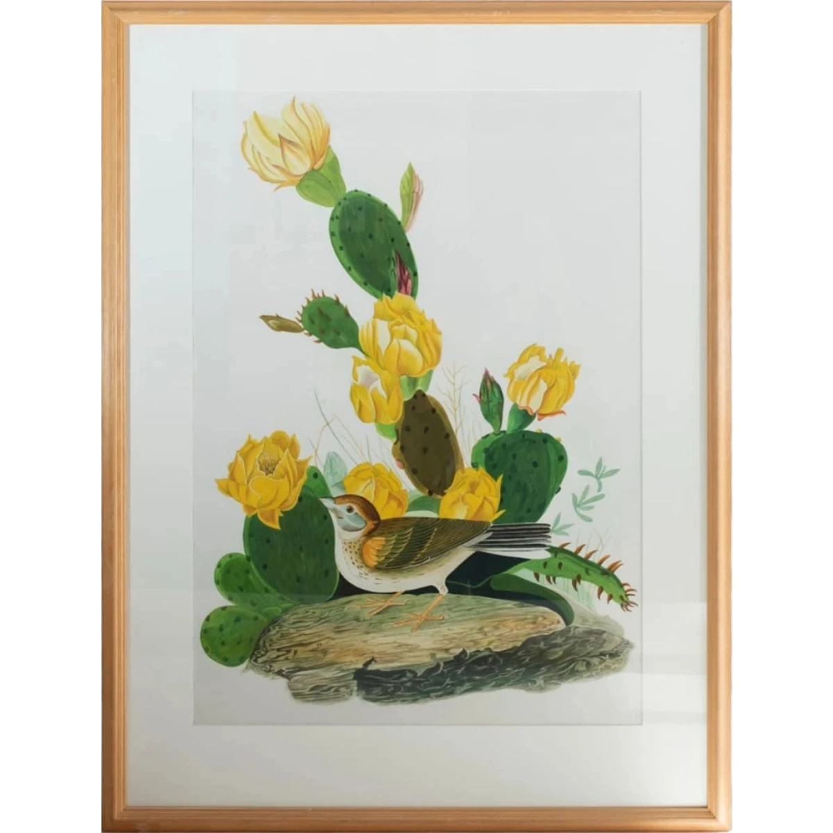 AFTER JOHN JAMES AUDUBON (AMERICAN,1785-1851)