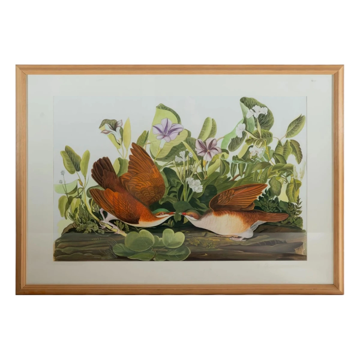 AFTER JOHN JAMES AUDUBON (AMERICAN,1785-1851)